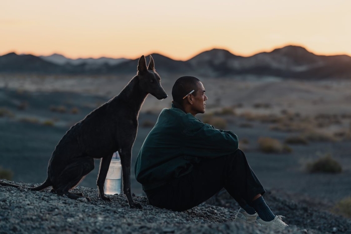 Black-Dog_st_7_jpg_sd-low