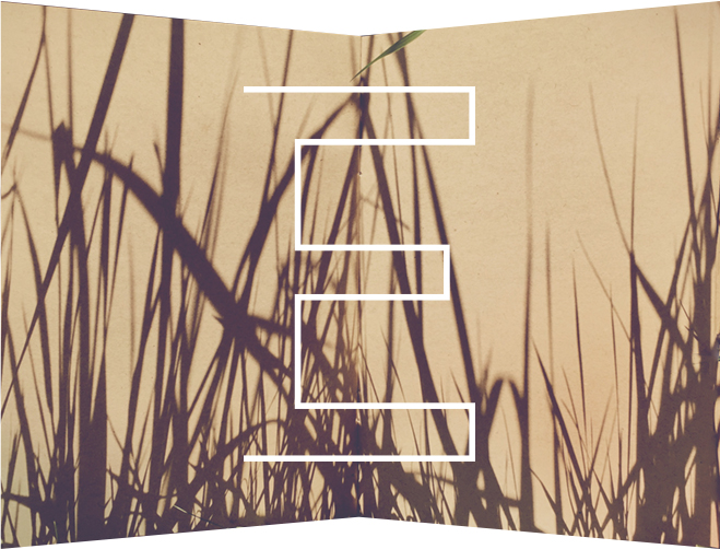 E logo korte verhalen 1 E logo korte verhalen 1