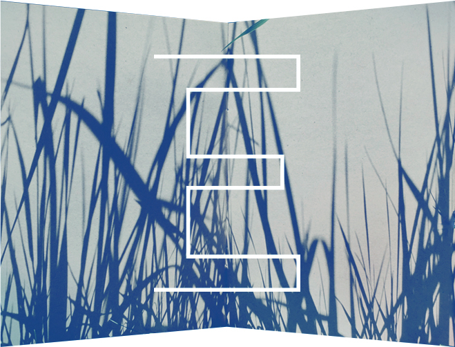 E logo lange verhalen E logo lange verhalen