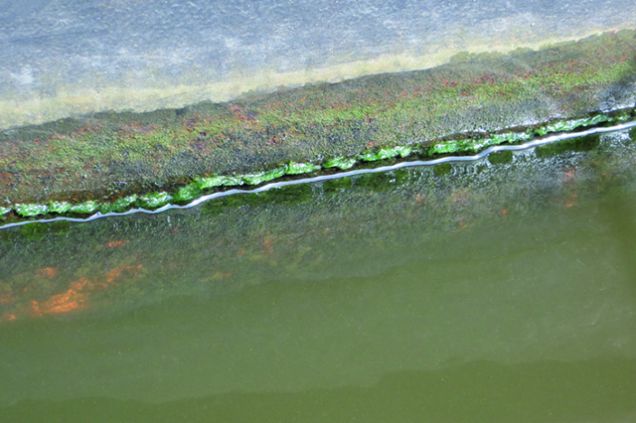 Gedichten Nele Bruynooghe