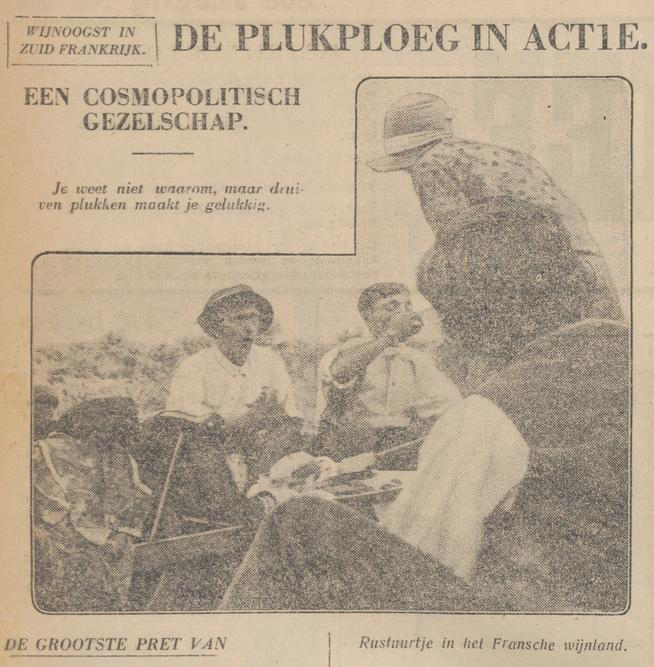 PlukploegDenDoolaard